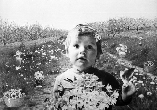 Fotokolaż przedstawiający kilkuletnie dziecko. 