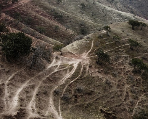 Pustynny krajobraz, przecinające się ścieżki, które spotykają się w jednym punkcie. 