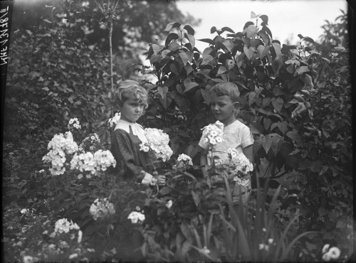 Dwoje dzieci w ogrodzie. 